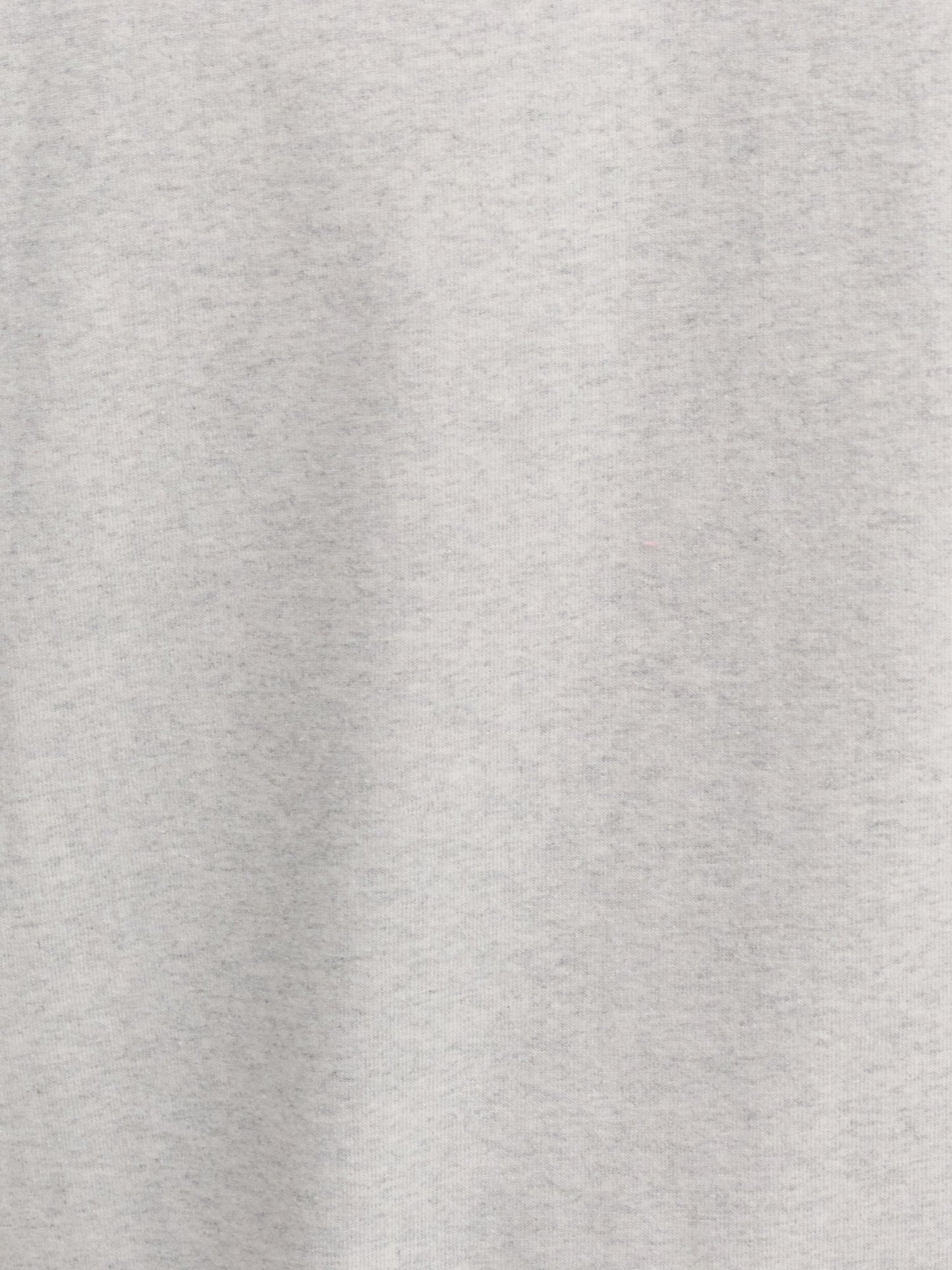 Men's Organic Heavyweight Cotton Relaxed Tee