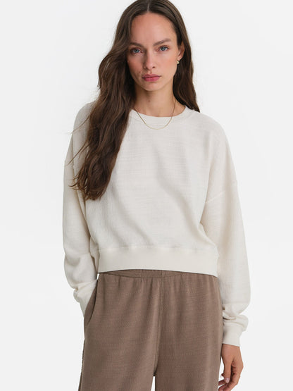 Textured Knit Crewneck Pullover