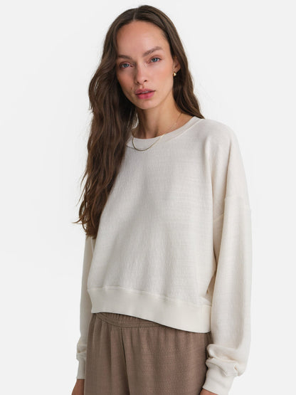 Textured Knit Crewneck Pullover