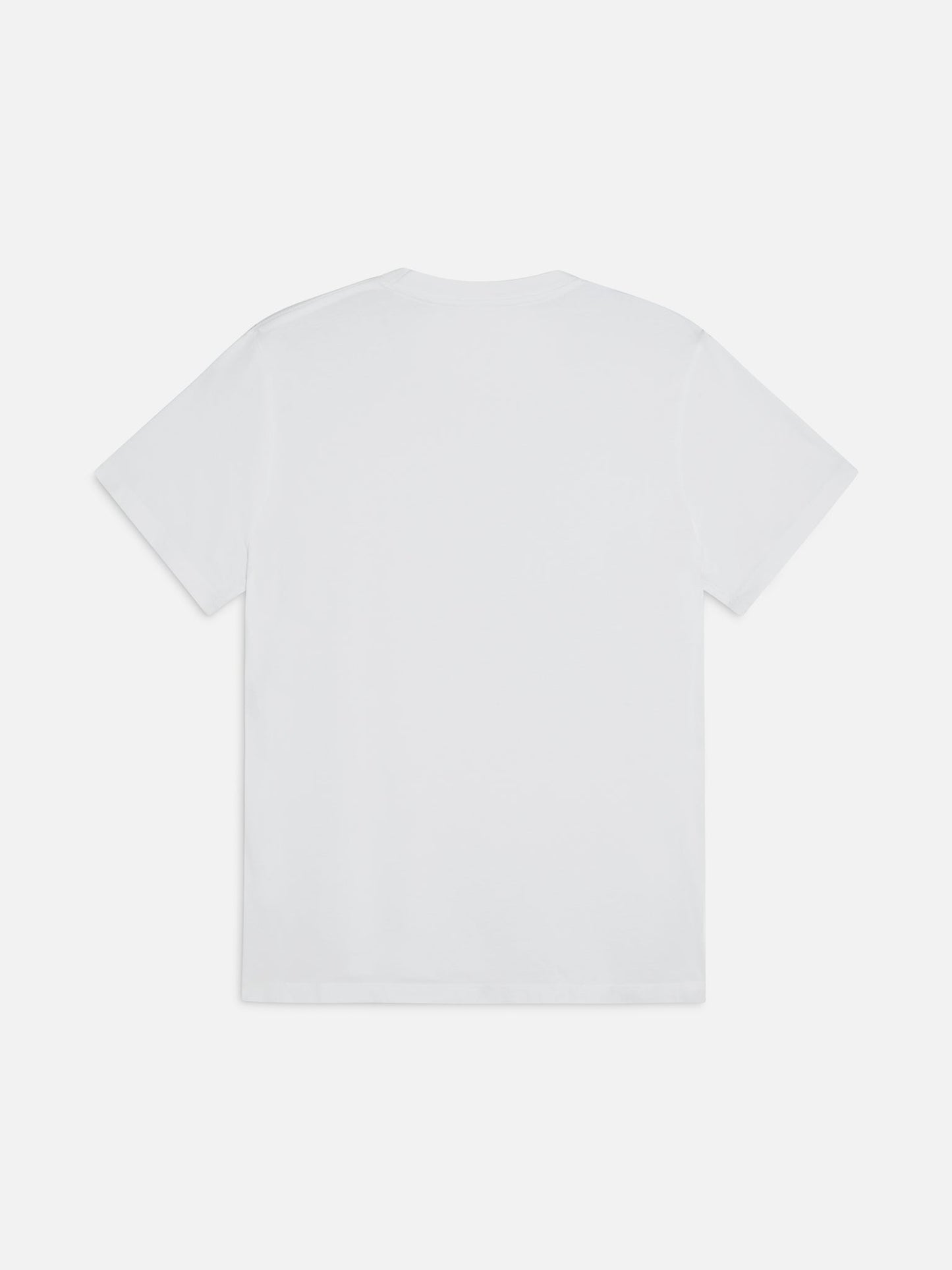 Men's Organic Cotton Crew Neck Tee