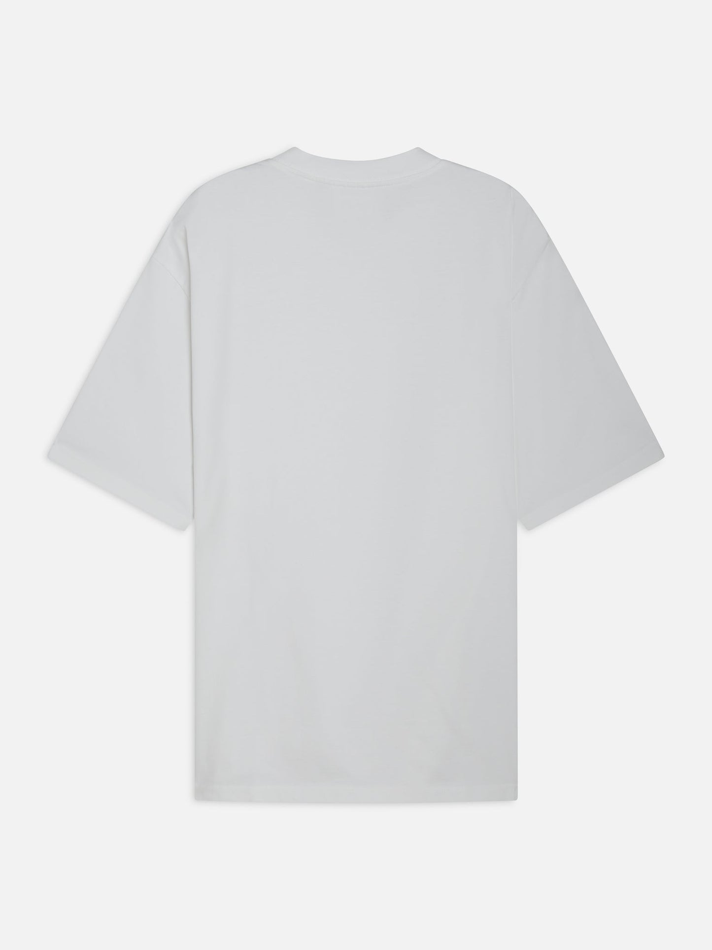 Men's Organic Heavyweight Cotton Relaxed Tee